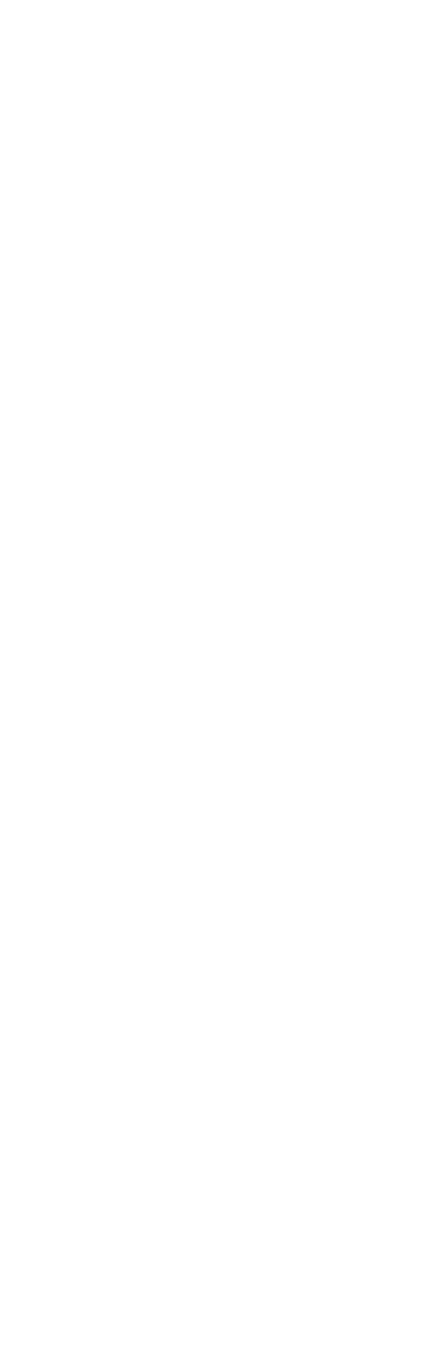 STRUMENTARIO